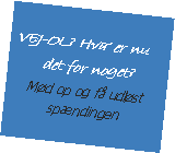 Tekstboks: VEJ-OL? Hva er nu det for noget?Md op og f udlst spndingen